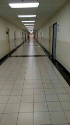 Imm Building (D22), Factory #593358241